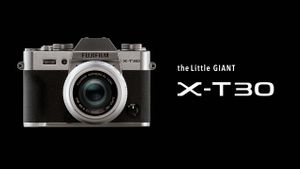 Aparat Foto Mirrorless Fujifilm X-T30 Silver Body